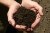 The role of soil in agriculture is under scrutiny