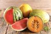 Assorted melons and watermelons