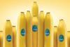 Chiquita take the yellow Duomo