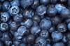 Blueberries top-down view closeup Adobe Stock