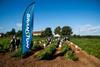 Growers visited the trial field this week