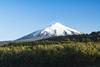 Chilean blues landscape