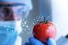 Gene editing Tomato DNA Adobe Stock