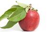 NZ Plant & Food Research HortResearch envy apple