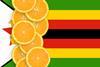 Zimbabwean citrus exports approved from 1 July