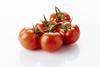 BelOrta vine tomatoes