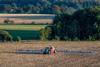 Fertiliser prices have risen since the Iran war