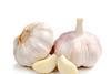 garlic pic for news