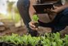 Agricultural research greenhouse vegetables Adobe Stock
