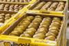 IT Jingold kiwifruit