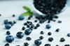 Dried blueberries
