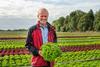 Johan Schut breeding manager lettuce Rijk Zwaan