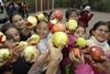Bundeslandwirtschaftsministerium fördert Vermittlung von Ernährungswissen