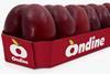 Ondine pack flat nectarines