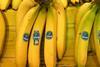 DE Chiquita bananas Panama