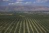 Washington looks for organic growth