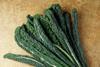 AU Tuscan cabbage kale
