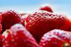 Keelings invests in strawb production