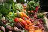 The_Organic_Farmers_DisplayÂ©_1724771