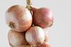 Prince de Bretagne Roscoff pink onions