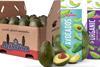Mission avocado range box and bags 2025