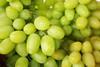 Generic green grapes cloesup