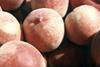 Spain exported 28 per cent more peaches than in the year-earlier period