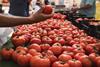 Organic tomatoes Spanish market