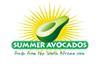 RSA Summer Avocados campaign logo