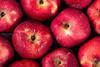 Red Delicious Adobe Stock
