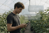 NZ WayBeyond Agronomy Intelligence