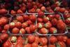 Strawberry prices soar