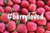 Queensland strawberry growers Berryloved