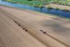 Greenvale is a major potato supplier to processing, retail and wholesale