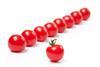 Tomatenreihe-Jiri Hera_AdobeStock_23059351
