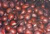 Beetroot on the march