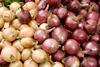 onions