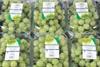 Indian grapes Capespan