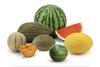 Hazera HM Clause melons watermelons
