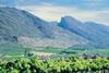 SATI unites South African industry