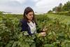 Amanda Moura of the James Hutton Institute