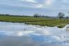 Flooded carrot field York 3
