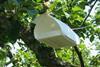 Pest management is attracting massive investment for Exosect