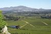 Elgin South Africa