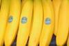 Bananen_Chiquita_Web_01.jpg