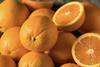 Navel oranges Adobe Stock