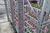 Urban Crop Solutions indoor farming leafy greens