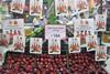 Washington Apple promotion India