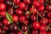 Generic cherries close-up Adobe Stock