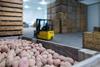 Crates of potatoes storage Adobe Stock